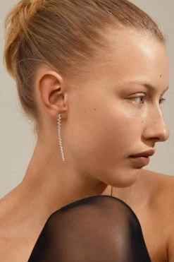 Pilgrim Belief Silver Crystal Dangling Stud Earrings