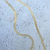 Silver Linings Axel Snake Chain Gold Necklace