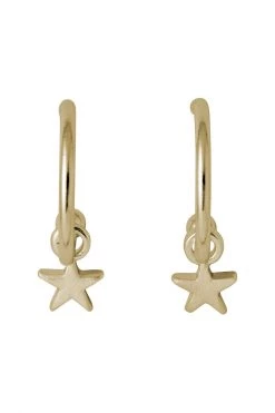 Pilgrim Ava Hoop Star Earring