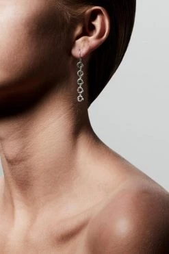 Pilgrim Tessa Preciosa Crystals On Linked Hanging Small Silver Circles Hook Earrings