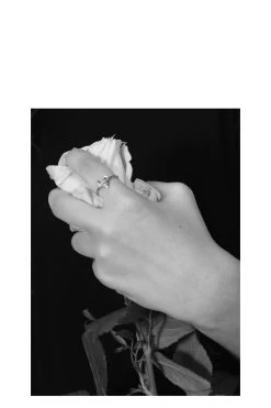 Federation Amour Heart Ring Sterling Silver