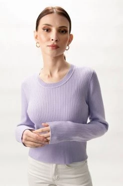 Among The Brave New In Inspired Lilac LS Rib Knit Cropped Crew Neck Top