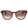 Le Specs Bandwagon Polarised Tort Khaki Grad Lens Sunglasses