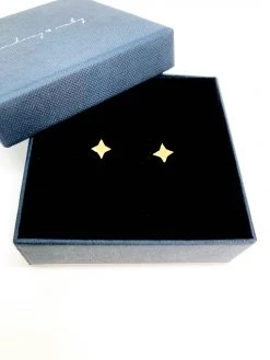 Audrey Loves Ruby Star Stud Earring Jewellery