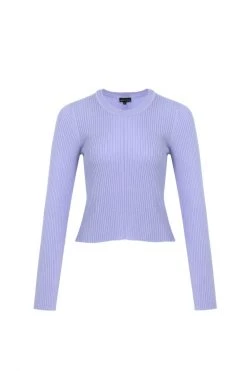 Among The Brave New In Inspired Lilac LS Rib Knit Cropped Crew Neck Top