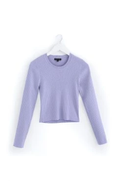 Among The Brave New In Inspired Lilac LS Rib Knit Cropped Crew Neck Top