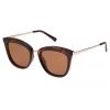 Le Specs Best Sellers Caliente Tort Gold Arms Brown Polarised Lens Sunglasses