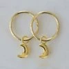 Sophie Jewellery Luna Lover Sleeper Earrings Gold
