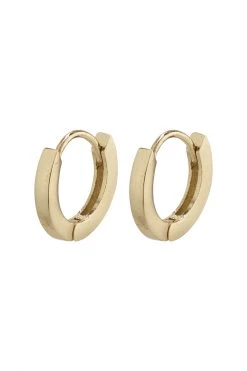 Pilgrim Arnelle Tiny Gold Plated Hoop Huggy Earrings Jewellery